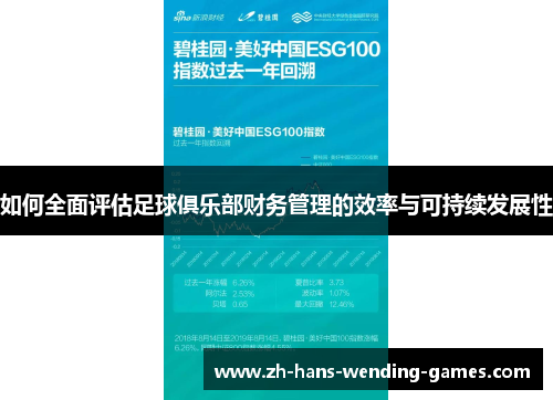 如何全面评估足球俱乐部财务管理的效率与可持续发展性
