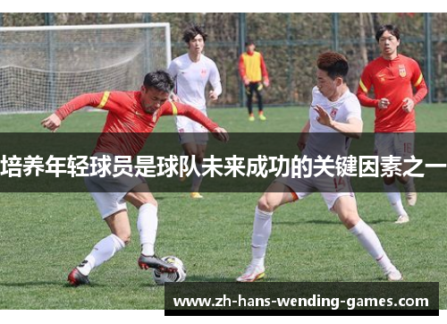 培养年轻球员是球队未来成功的关键因素之一