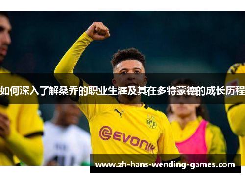 如何深入了解桑乔的职业生涯及其在多特蒙德的成长历程