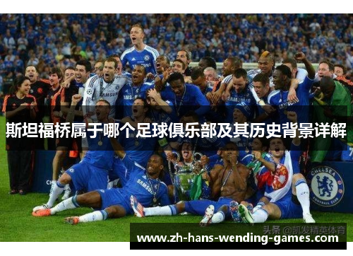 斯坦福桥属于哪个足球俱乐部及其历史背景详解