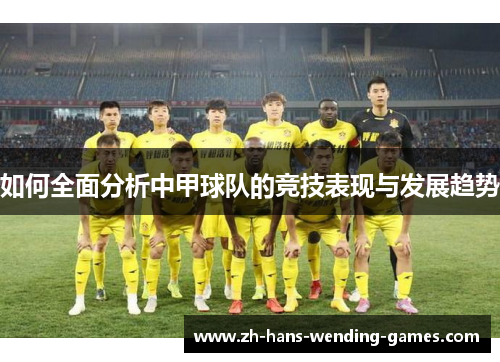 如何全面分析中甲球队的竞技表现与发展趋势