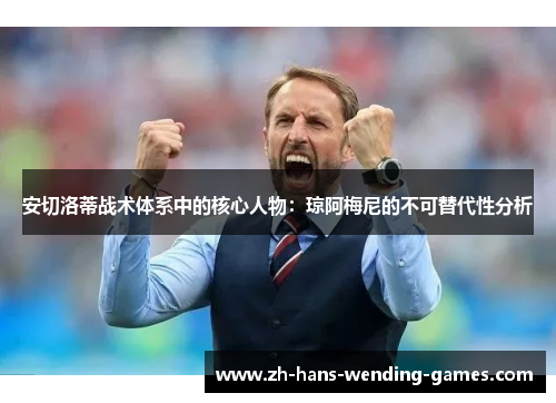 安切洛蒂战术体系中的核心人物：琼阿梅尼的不可替代性分析