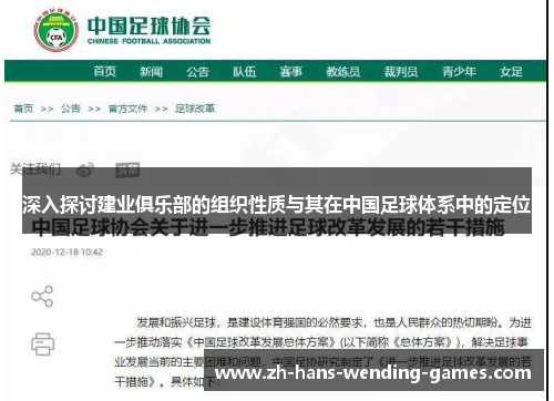 深入探讨建业俱乐部的组织性质与其在中国足球体系中的定位