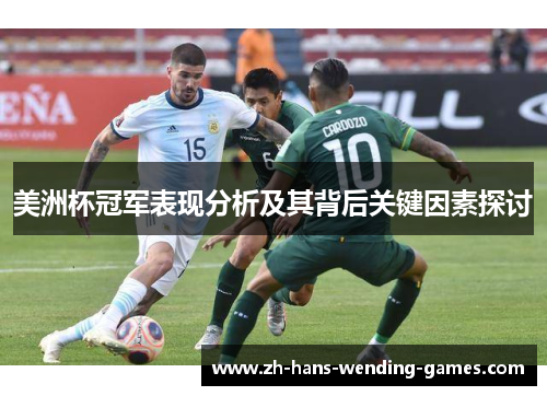 美洲杯冠军表现分析及其背后关键因素探讨